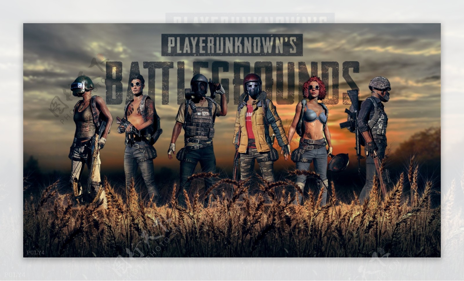 雅思组合 雅思组合